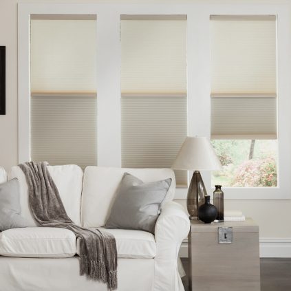 Cordless Day-Night Honeycomb Shades: Smooth lift, no cords, effortless transition from light filtering to blackout